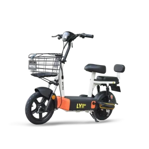 Metro Wonder Bike